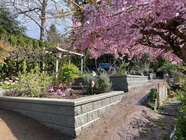 hoedown excavating, nanaimo landscaping, landscaping services